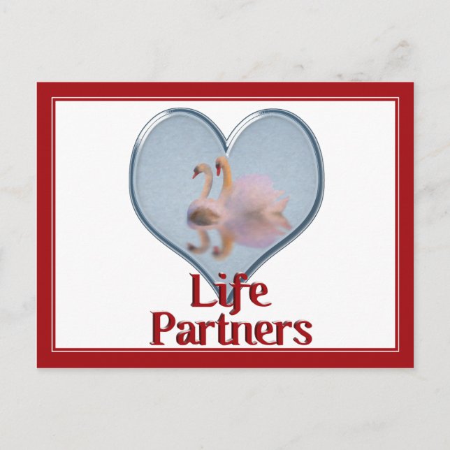Two Swans Swimming w/text "Life Partners" Postcard (Front)