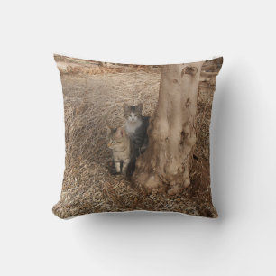 TWO SWEET CATS IN A FIELD ORIGINAL PICTURE ART CUSHION