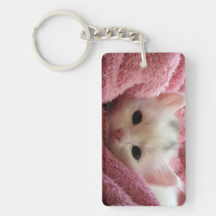 Two sweet kittens key ring