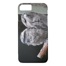 Two Tawny Frogmouth Birds