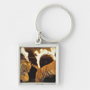 Two tigers leaping through burning rings of fire key ring
