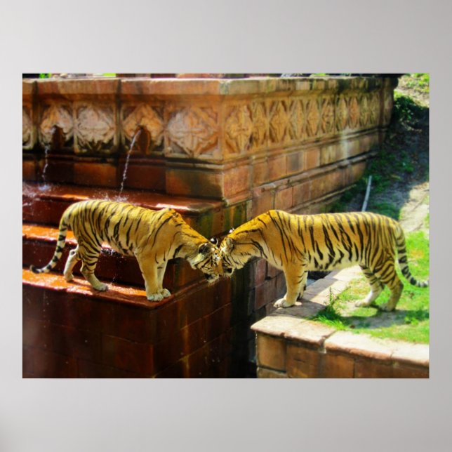 Two Tigers Poster (Front)