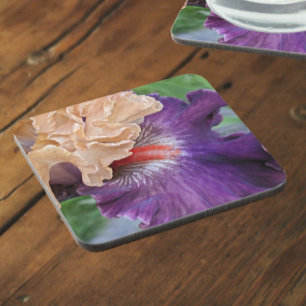 Two-Tone Bearded Iris Bloom Floral Coaster