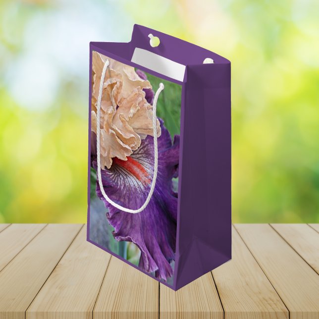 Two-Tone Bearded Iris Bloom Floral Small Gift Bag (In Situ)