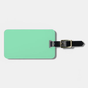 Two-Tone Brown & Mint Green Luggage Tag