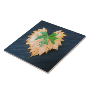 Two Tone Leaf Ceramic Tile