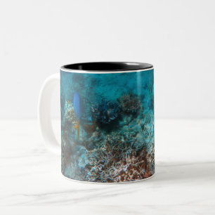 Two-Tone Mug