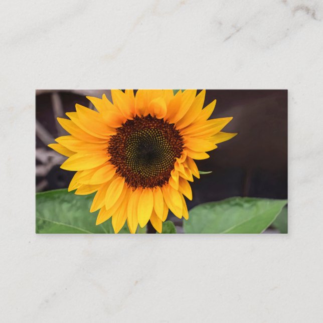 Two-Tone Mug, 15 oz Calling Card (Front)