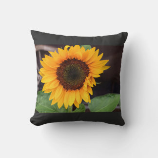 Two-Tone Mug, 15 oz Cushion