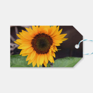 Two-Tone Mug, 15 oz Gift Tags