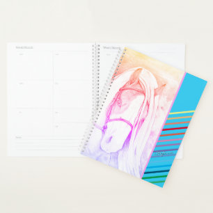Two Tone (rainbow) Planner