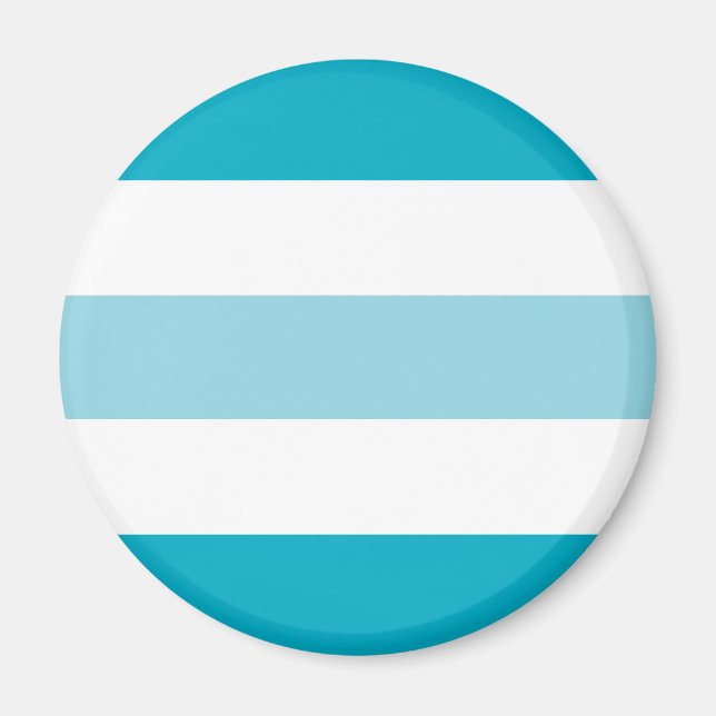 Two Tones Stripes  Magnet (Front)
