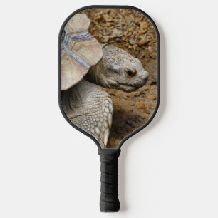 Two Tortoises Pickleball Paddle
