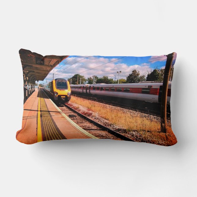 Two trains lumbar cushion (Front)