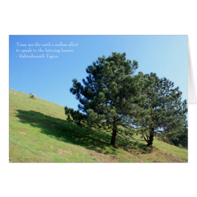 Two Tree Hill Card (Front Horizontal)