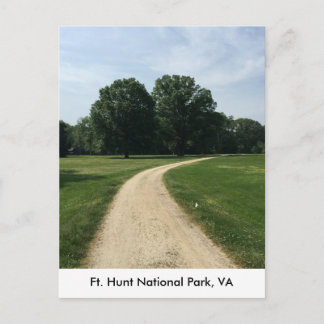 Two trees at Ft. Hunt Park Postcard