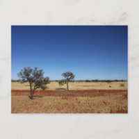 Two Trees