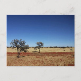 Two Trees Postcard