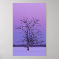 Two Trunked Tree at Sunrise; Chippewa County,
