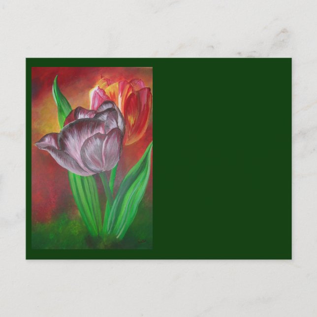Two Tulips Against Red Background Postcard (Front)