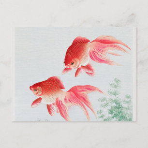 Two veil goldfish vintage postcard