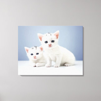 Two very young white kittens stare inquisitively canvas print