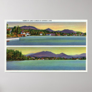 Two Views of Lake Flower Poster