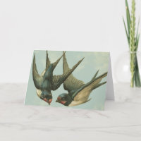 Two Vintage Swallows