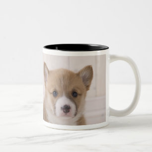 Two Welsh Corgi Sitting Two-Tone Coffee Mug