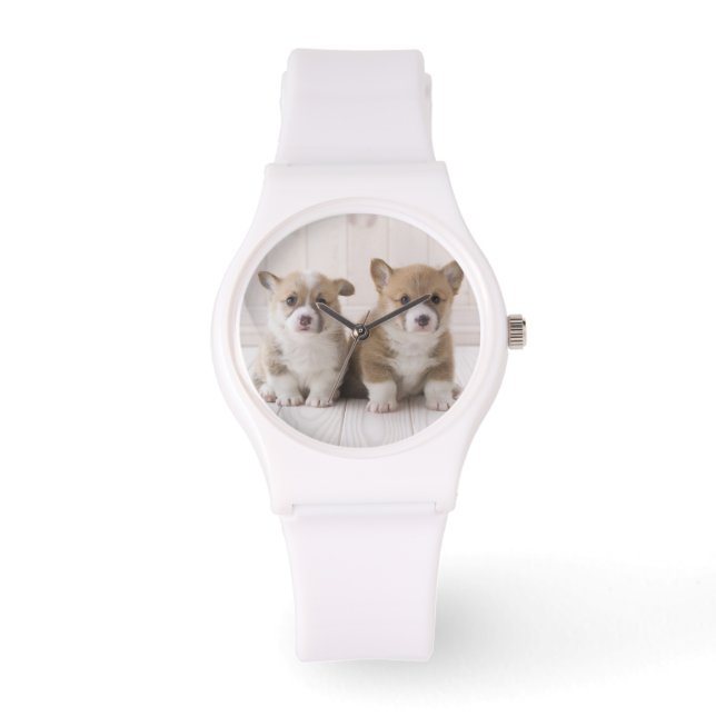 Two Welsh Corgi Sitting Watch (Front)