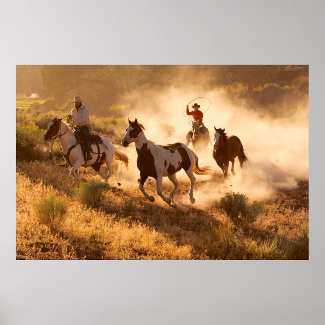 Two western cowboys riding horses, roping wild hor poster (Front)