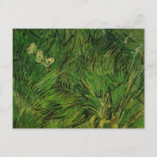 Two White Butterflies by Vincent van Gogh Postcard