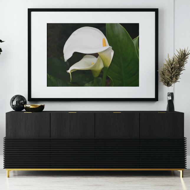 Two White Calla Lilies Floral Glossy Poster (In Situ)