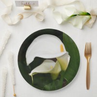 Two White Calla Lilies Floral
