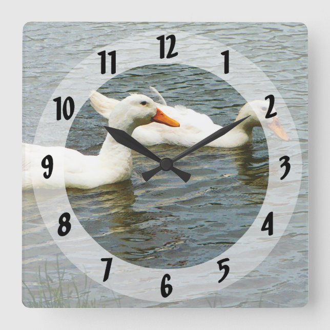 Two White Ducks Square Wall Clock (Front)