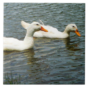 Two White Ducks Tile