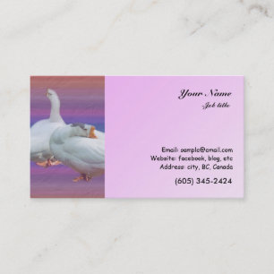two white geese in colour background business card