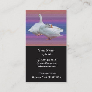 two white geese in colour background business card