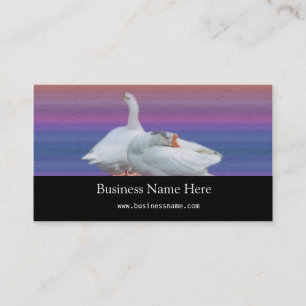 two white geese in colour background business card