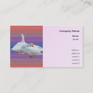 two white geese in colour background business card