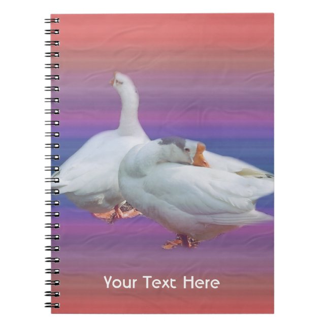 two white geese in colour  background. spiral notebook (Front)