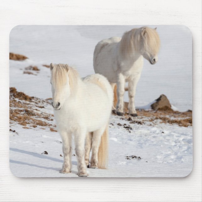 Two White Icelandic Horses Mouse Pad (Front)