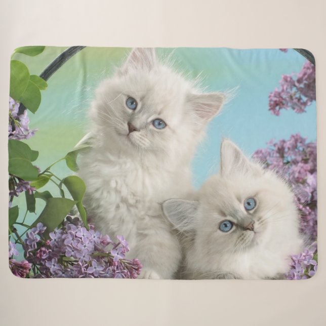 TWO WHITE KITTENS SHERPA BLANKET (Front (Horizontal))