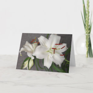 Two White Lilies Card