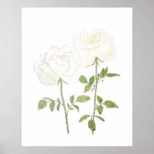 two white roses ink and watercolor 2023 poster
