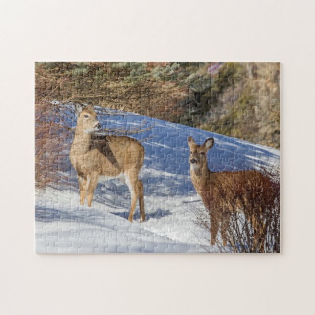 Two White-tailed Deer in Winter Jigsaw Puzzle (Horizontal)