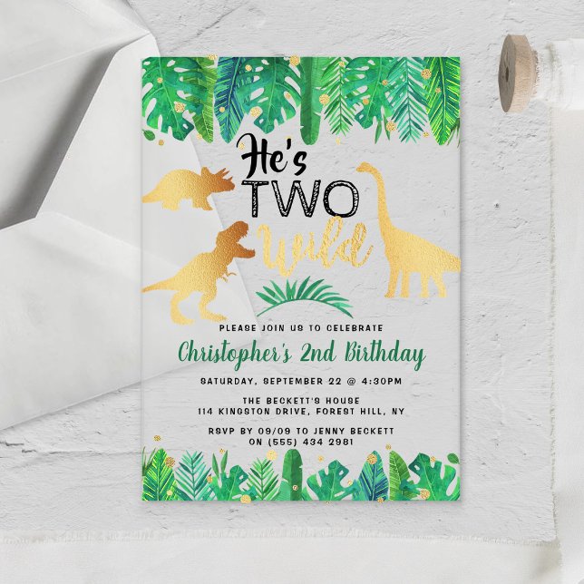 Two Wild Dinosaur Boys 2nd Birthday Acrylic Invitations (Creator Uploaded)