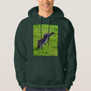 Two Wild Kangaroos On Green Grass, Hoodie