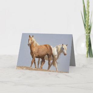 Two Wild Mares Wild Horse Greeting Card