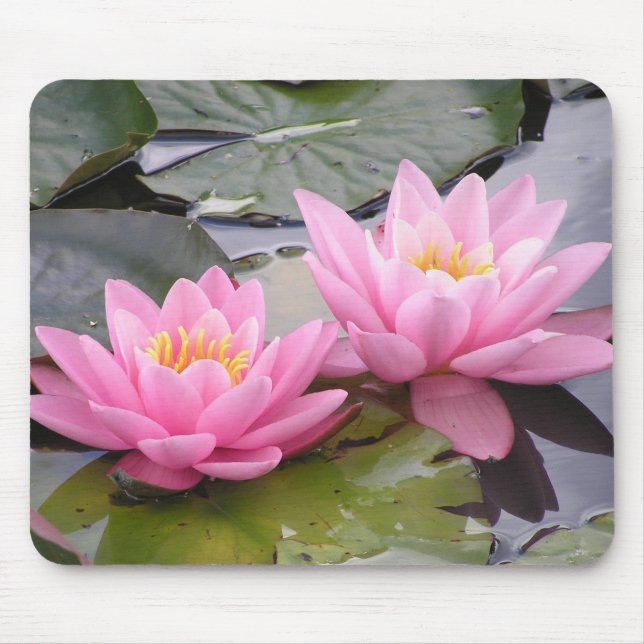 Two wild pink waterlilies in a pond mouse pad (Front)